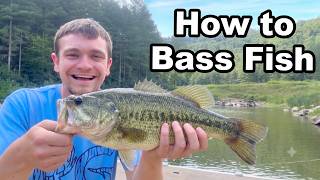 How To Catch Bass for Beginners!