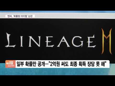 수억 써도 획득 ‘불투명’…확률형 아이템 자율규제 실효성 도마