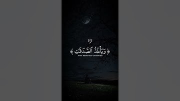 اكتب شئ تؤجر عليه 🖤🍂 #القارئ ياسر الدوسري