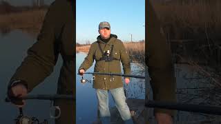 Карповое удилище Akara Geden Carp #рыбалка #карповаяловля #карпфишинг #shorts