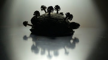 Creative Collaboration: Bringing Science and Art Together