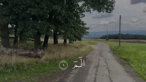 إسلام صبحي سورة العنكبوت ❤️ قراءة جميلة وهادئة😍 مع كلمات السورة