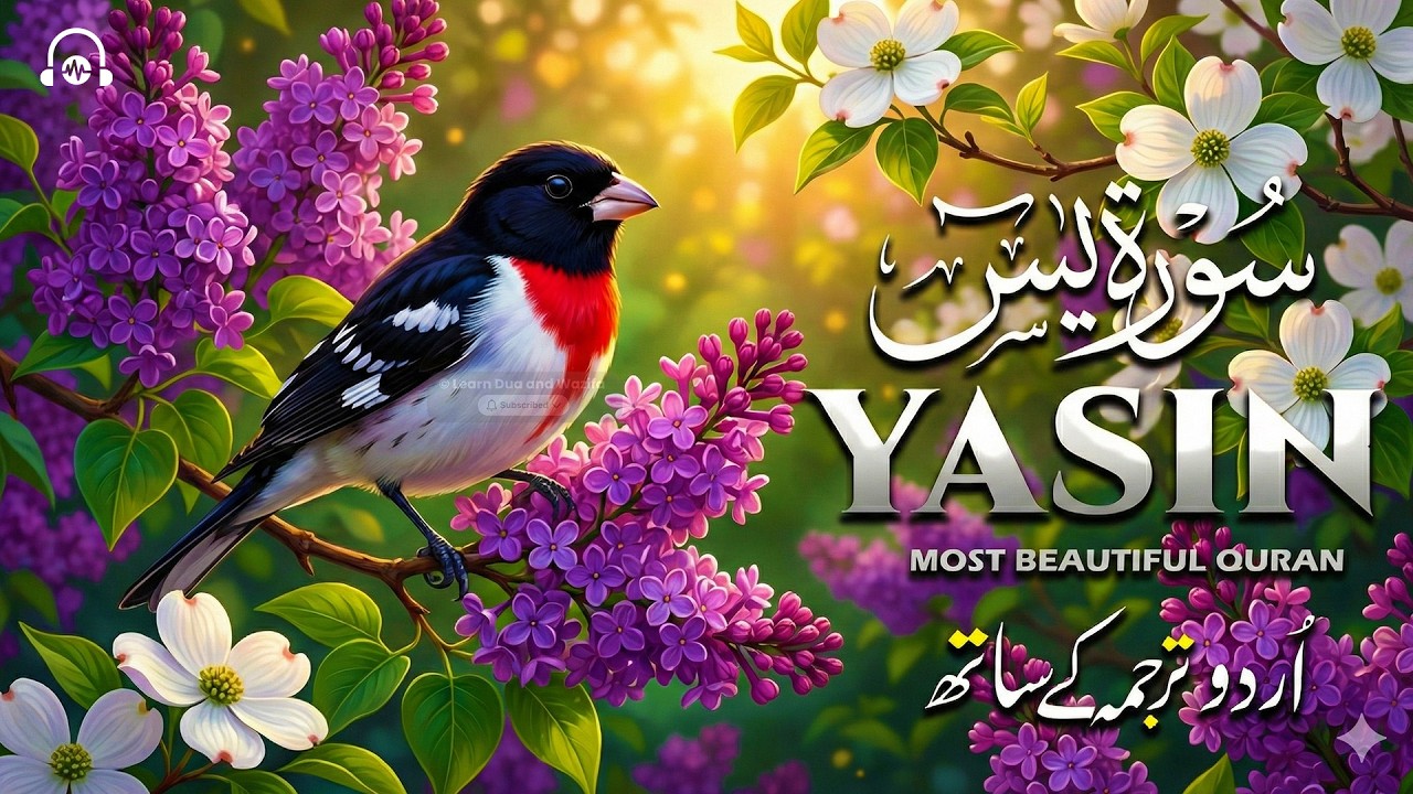 Surah Yaseen (Yasin) سورة يس | Most Heart Touching, Beautiful & Emotional Quran Recitation