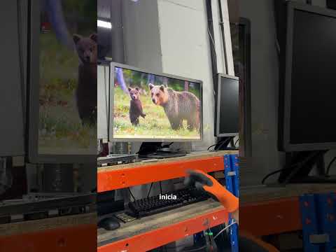 Paquete Destrozado: Así Revisamos un PC Tras un Golpe en Transporte