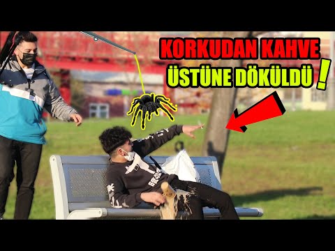 DEV ÖRÜMCEK İLE İNSANLARI KORKUTMA ŞAKASI ! (Gülme Garanti) prank