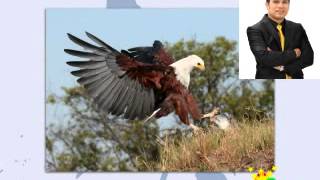 BASIC TRAINING w/ the Eagle -LEADERSHIP LA DOLCE VITA INT'L