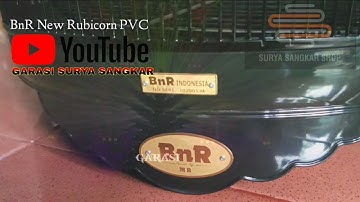 #sangkarburung MURAI BATU BnR NEW RUBICORN #suryasangkarshop Toko Paling Komplit Murah Berkwalitas