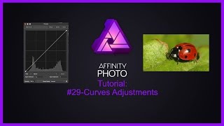 Affinity Tutorial #29-Curves Adjustment