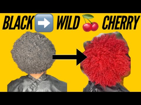 Adore Wild Cherry 4C Hair Color Transformation - YouTube