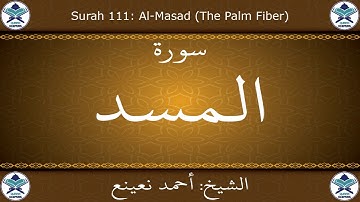 القرآن الكريم بصوت احمد نعينع - سورة المسد