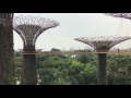 The Supertree Grove in Singapore