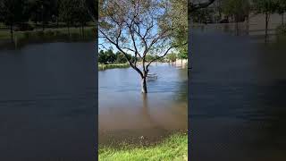 Northfield Mn 6-23-24