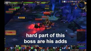 Death Knight solo: HEROIC Azjol Nerub