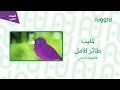 كليب طائر الأمل فاطمة خانجي قناة تغاريد 
