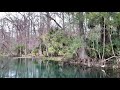 Silver Springs Florida MONKEYS 🐒, Wild life adventure.