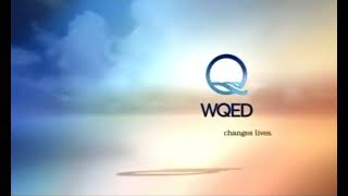 Details PBS station id (2007-2018 WQED) plus DVS from the 90s (HQ RECREATION) v1.0 Guide