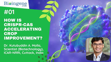 How is CRISPR-Cas accelerating crop improvement?