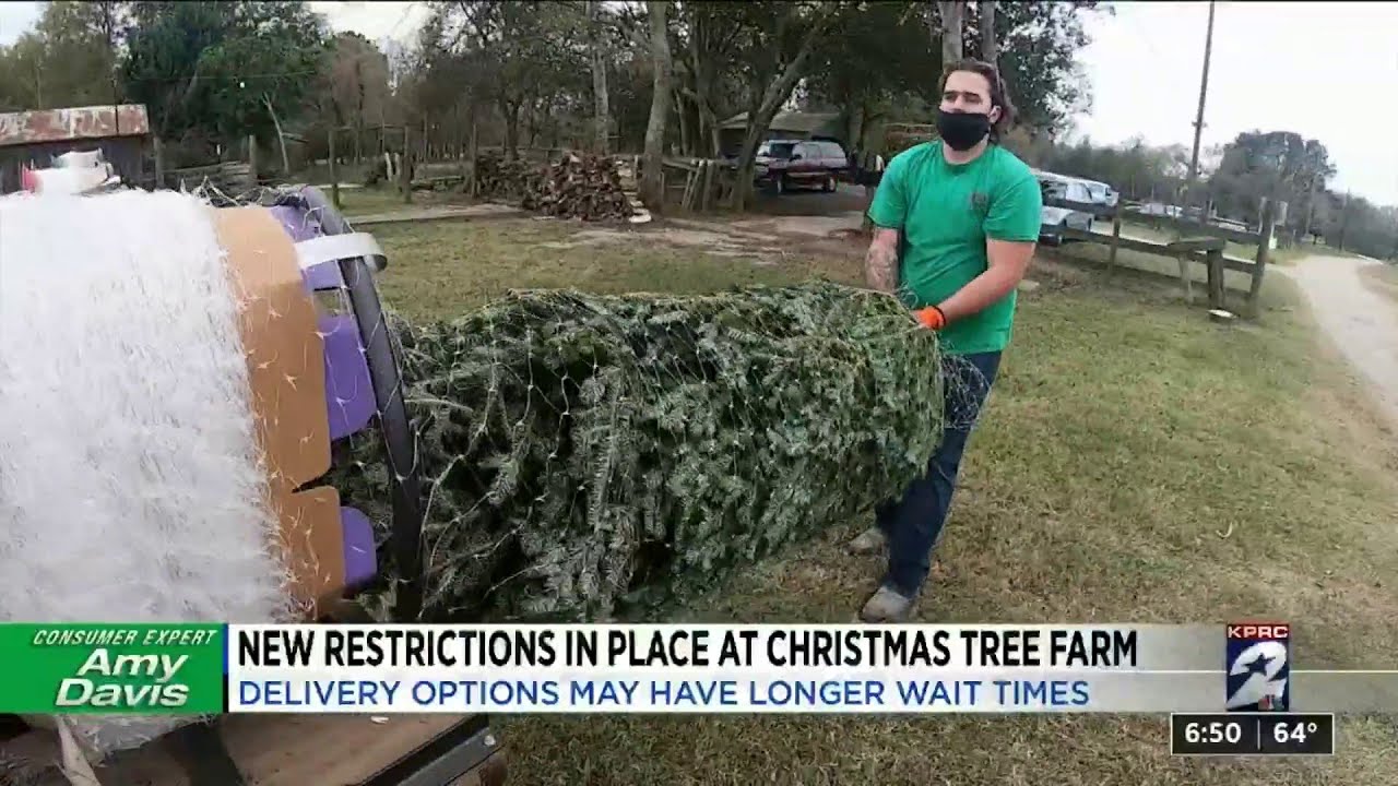 New restrictions in place at Christmas tree farm - YouTube