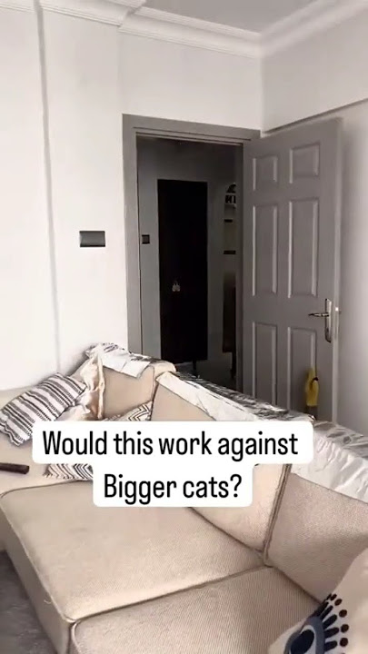 коты vs фольга