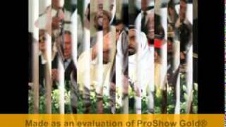 Untitled ProShow2 mpg1 352x240 29970fps 1120000bps a1 d0 c80 10