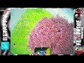 IGOW PRESEASON #7 VCI TRIPPY SPINS @BETAFPVHobby @weBLEEDfpv @FlyTribeMagazine #betafpv