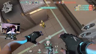 "Hey Jamppi are you Korean" | Liquid Jamppi