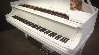 Steinway Model M 57 Grand Piano Restored White (#272336)
