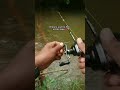 Average fishing experience!😭
