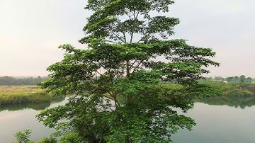 92  سورة الليل - صوت الشيخ ياسر الدوسري