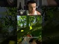 Prim #gaming #twitch #kick #warriorrust