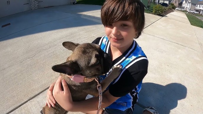 10 Year Old Finds Puppy After 11 Days Missing