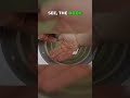 Wafter-Style Bait Trick: Apple Floats, Hook Stays! 💡