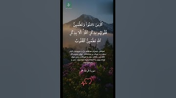 أجمل حالات واتس اب دينية //قرآن كريم❤{ الذين آمنوا وتطمئن قلوبهم بذكر الله }♡حياة القلوب 🤍🕊