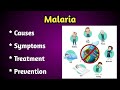 Malaria Causes, Symptoms, Treatment and Prevention.