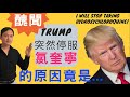 (中/英字幕)特朗普突然停服氯奎寧,原來與這宗醫學界醜聞有關 Why Trump stops taking hydroxychloroquine(HCQ)?(冠肺47)