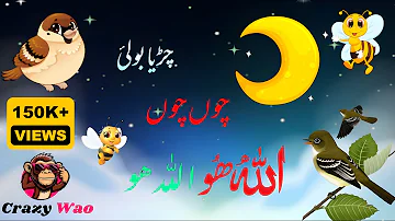 chirya boli choo choo choo Allah Hoo Allah Hoo | urdu rhymes for children | Naat for children