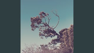 Retro Backdrops for Autumn Inspiration