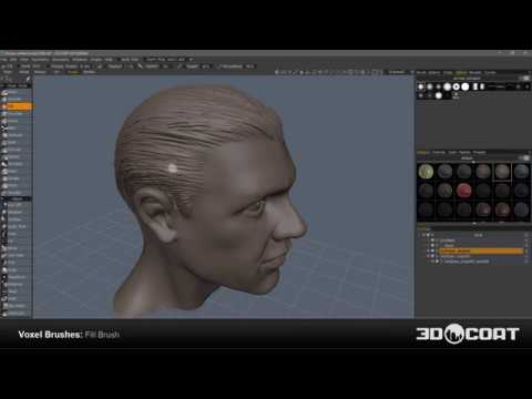 3ds Voxel Brushes: Fill Brush