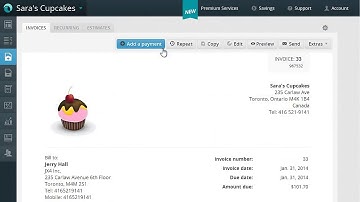 WaveApps Guide: How to Add a Payment
