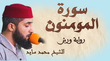 سورة المومنون | تلاوة هادئة ومتقنة للشيخ محمد سايد | برواية ورش