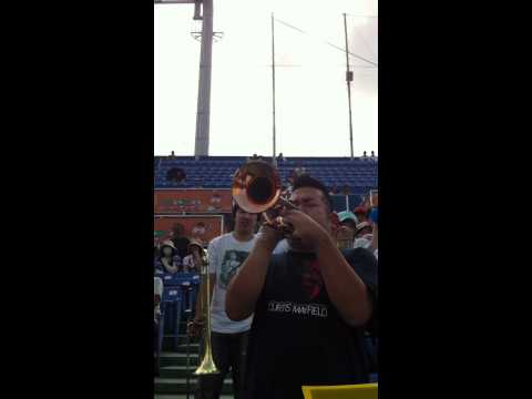 野球応援 必殺仕事人 あにき