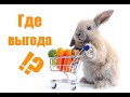 Кролики - это не выгодно!?/Планы на хозяйство/Обзор