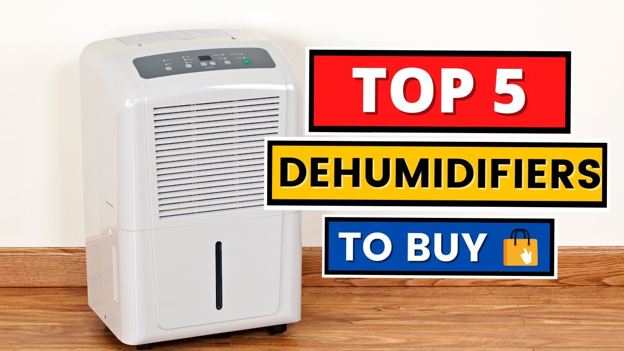 TOP 5 Dehumidifiers YouTube