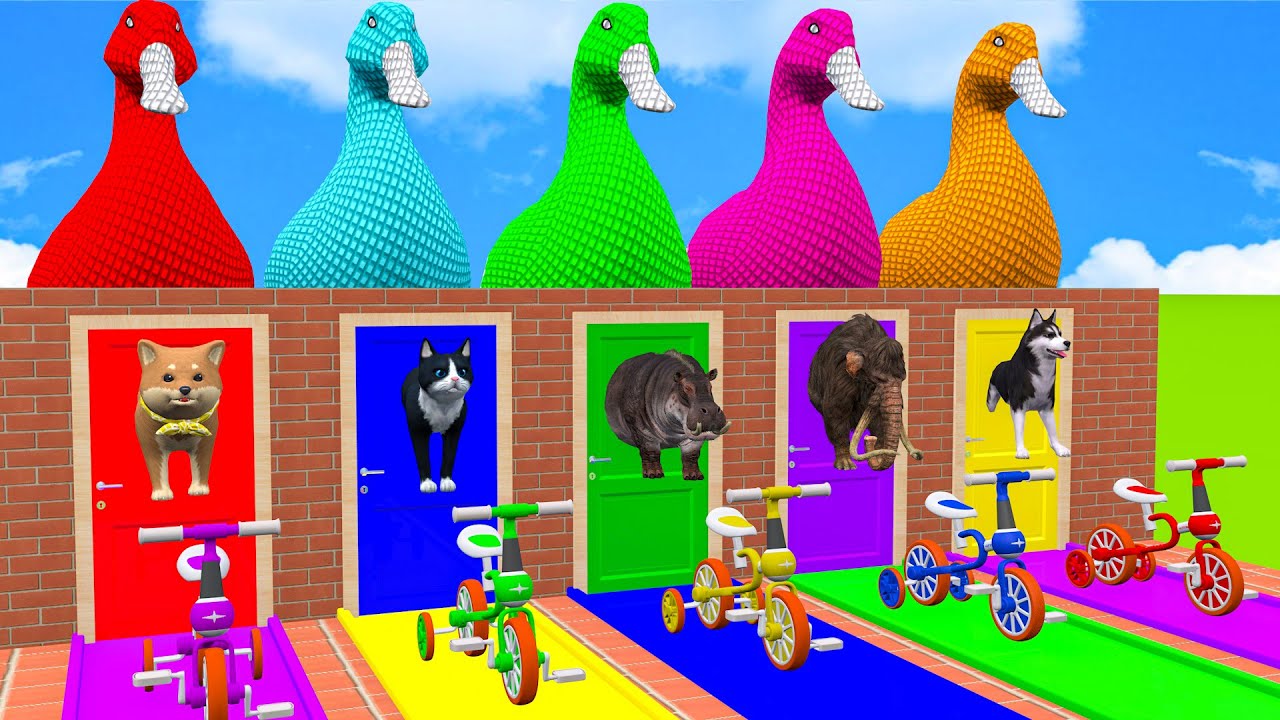 Long Slide Game With Cow Elephant Gorilla Hippopotamus Tiger - 3d Animal Game - Funny 3d Animals