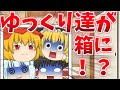 【茶番】ゆっくり達が箱につめつめ状態に！？うp主がトイレで坂立ち！？！？【質問コーナー】【ゆっくり】前半
