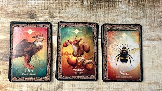 ✨Co se mi splní do 3 měsíců?✨ #tarot #vykladkaret