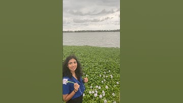 🤍 Rate this transition 💫  #fypシ #video #youtube #music #transition