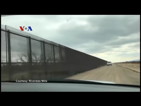 Video: Pagar Dan Perbatasan Spirea Yang Indah