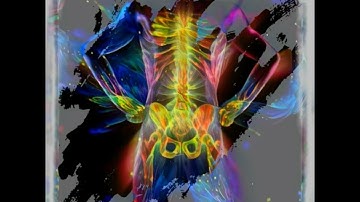 The Quintessence of Marrow SAPIEN MEDICINE