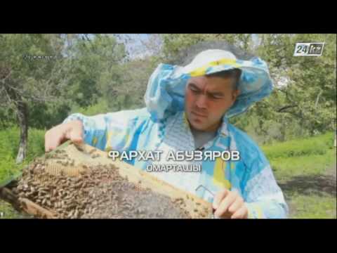 Бейне: Омартаның пішіні неге алтыбұрышқа ұқсайды?